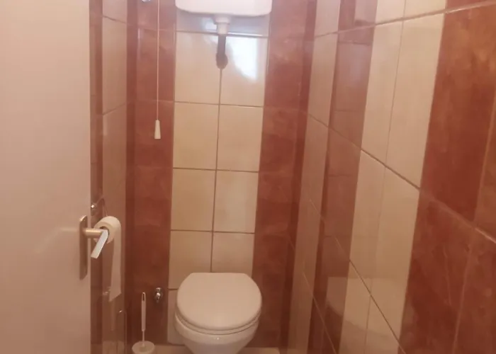 Hattyú Poroszló